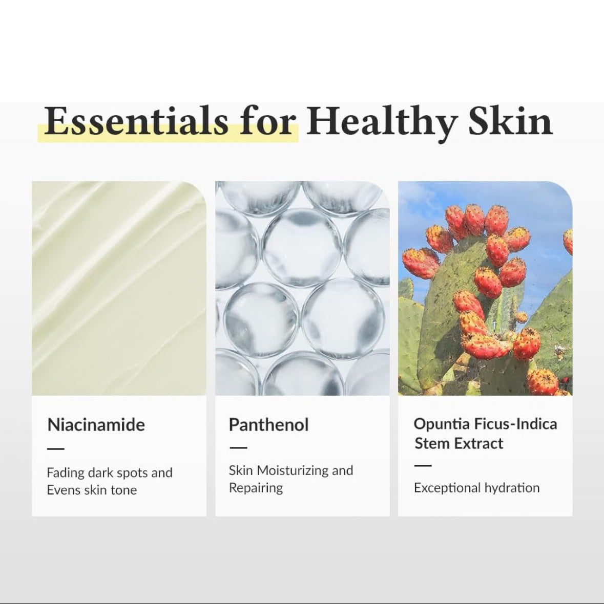 543 Repair Cream - Regenerating Face Cream