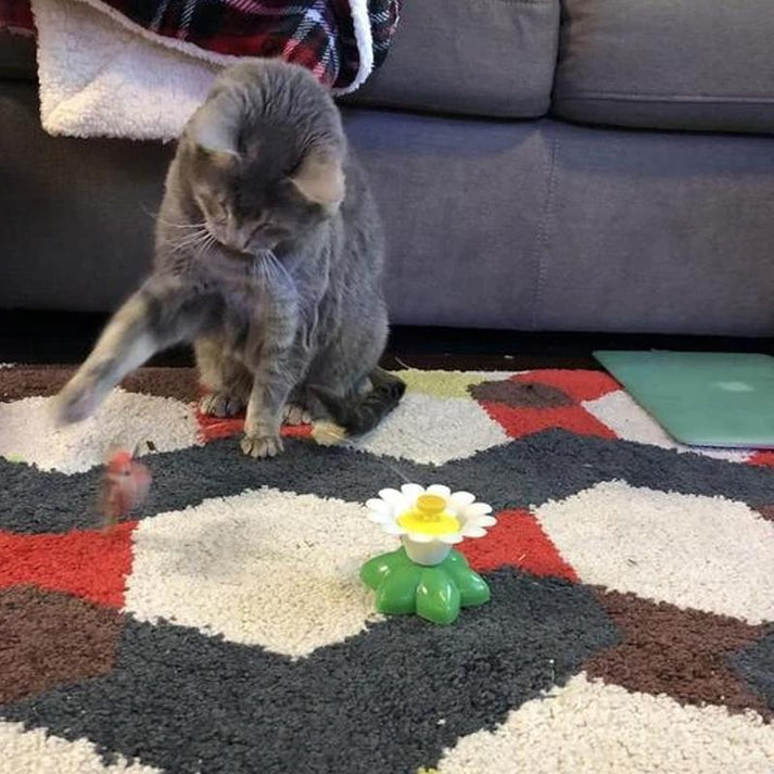 Auto Rotating Cat Teaser 🦋Butterfly & Bird🦜