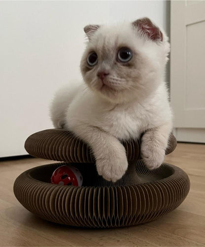 Foldable Accordion Cat Scratching Board
